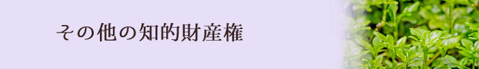 その他の知的財産権のイメージ図