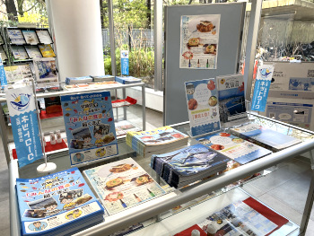 展示の様子