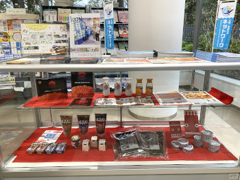 展示の様子
