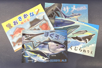 展示の様子